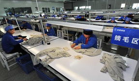 寧夏靈武 占據世界羊絨原絨產量44%的“軟黃金”產業(yè)高地